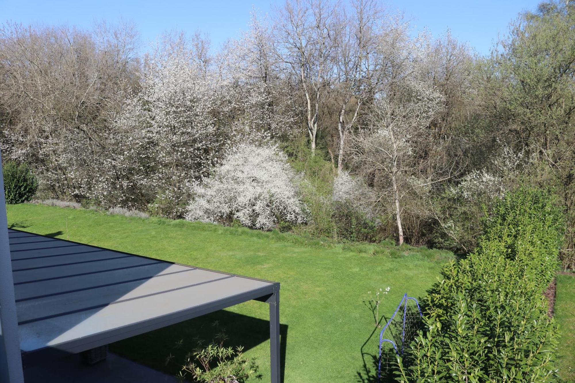 Ferienwohnung Nalbach Wohnung 1 Zewnętrze zdjęcie
